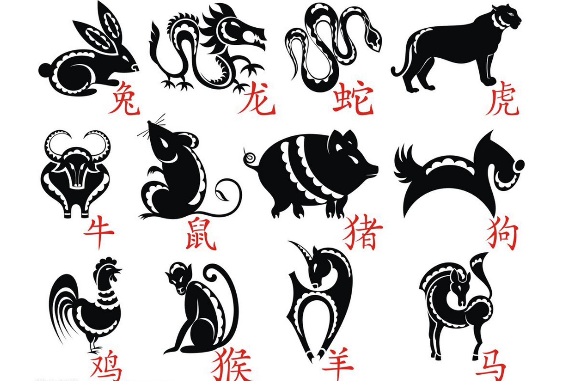 立春一般开什么生肖,立春一般开什么生肖的花