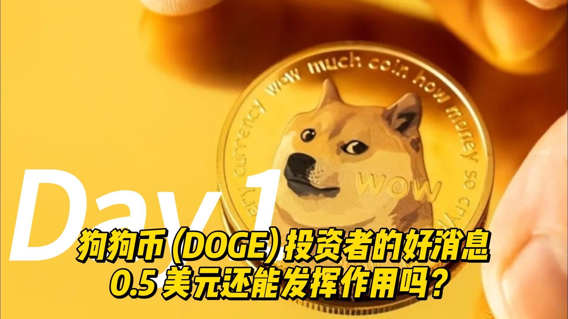 狗狗币的最新消息,狗狗币最新消息及未来发展前景