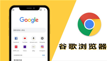 谷歌浏览器下载官方正版安装,谷歌浏览器下载2020官方下载google浏览器官方下载