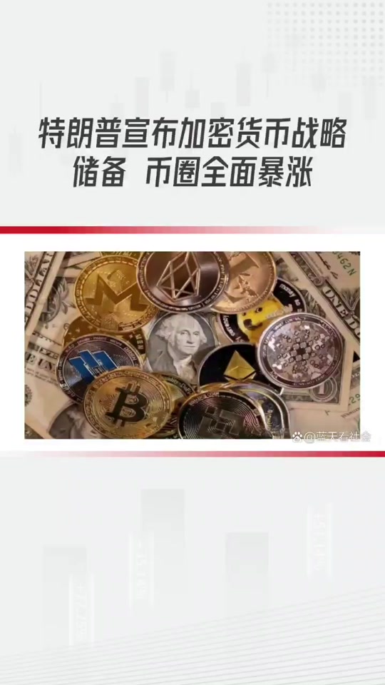 虚拟币种一览表,虚拟币品种中文百科