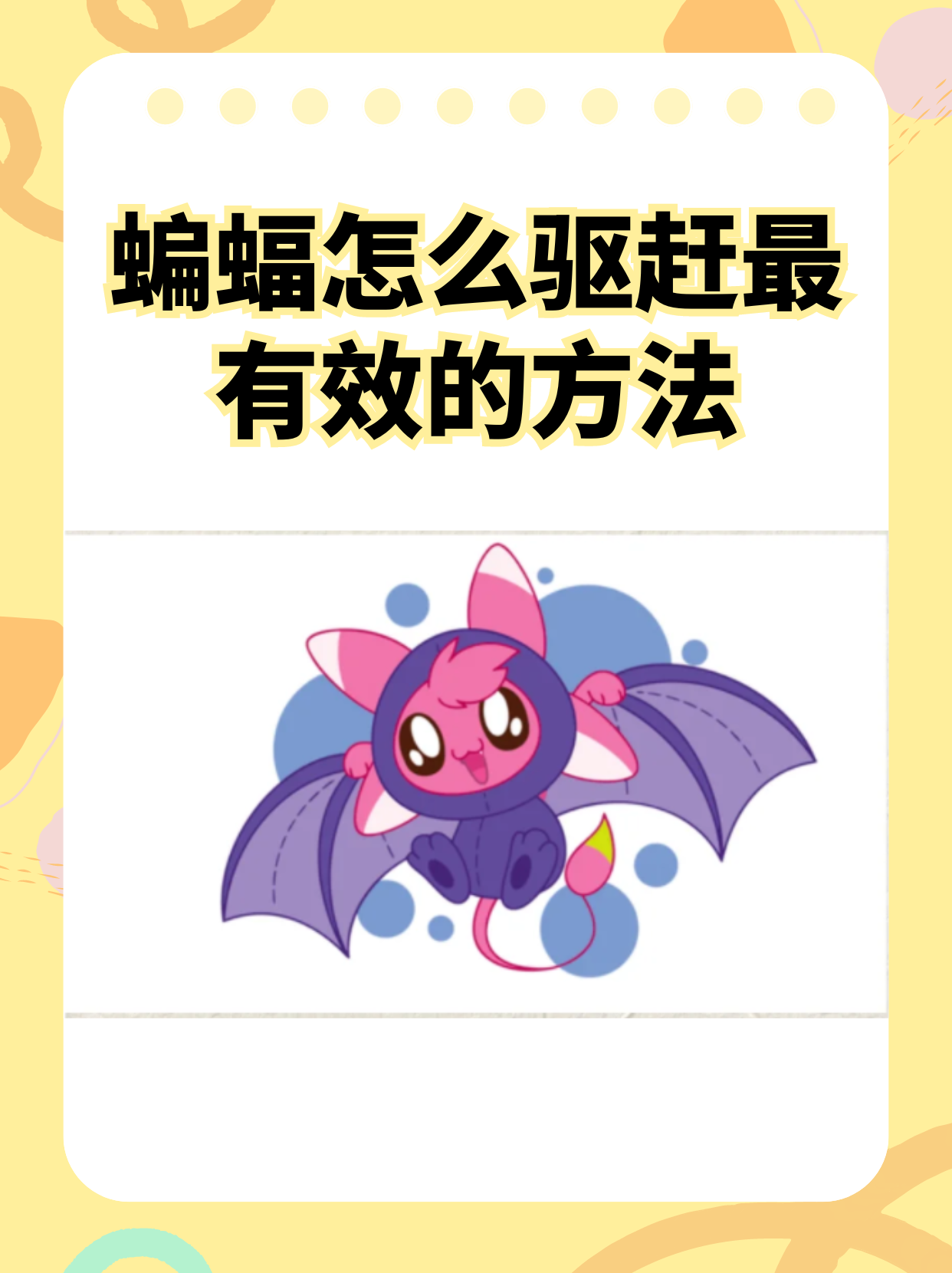 蝙蝠安全聊天软件下载,蝙蝠安全聊天软件下载安装