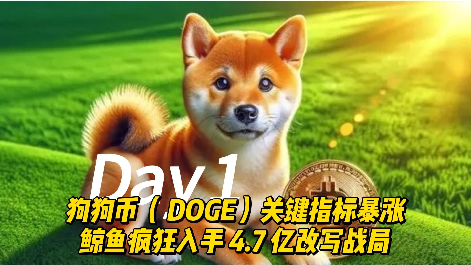 狗狗币已被国家正式批准,虚拟币交易app下载安装
