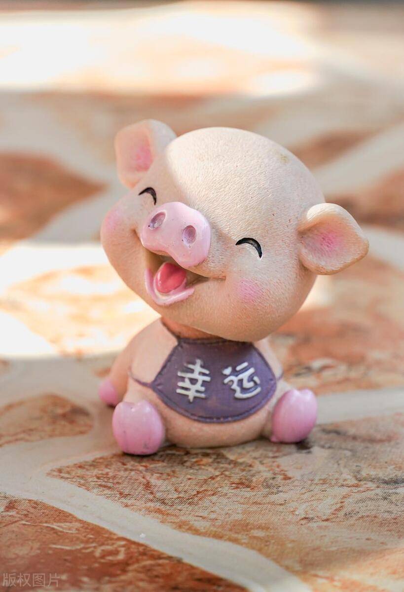 今期六字出玄机猜一生肖缠大猪,今期六字出玄机,特数出此不为奇是什么生肖