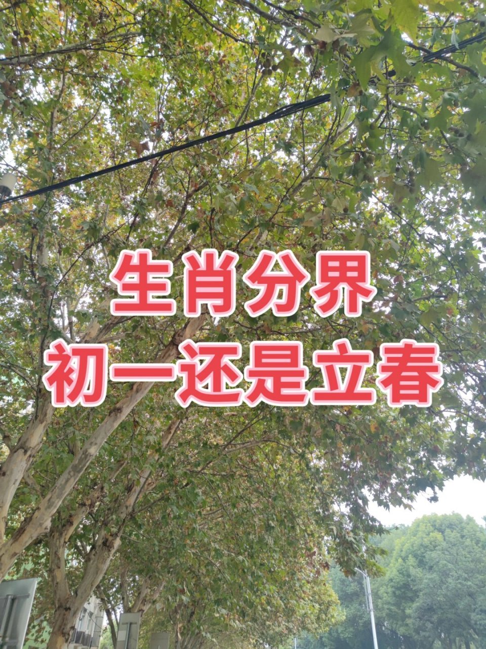 立春打一生肖答案,立春的含义是什么生肖 立春打一生肖答案,立春的含义是什么生肖