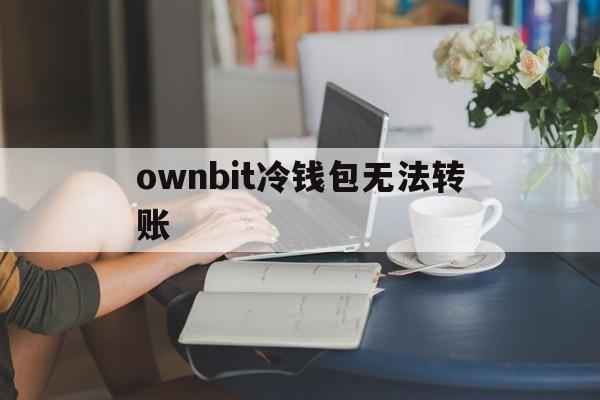 ownbit冷钱包无法转账、ledger冷钱包转usdt转不出去